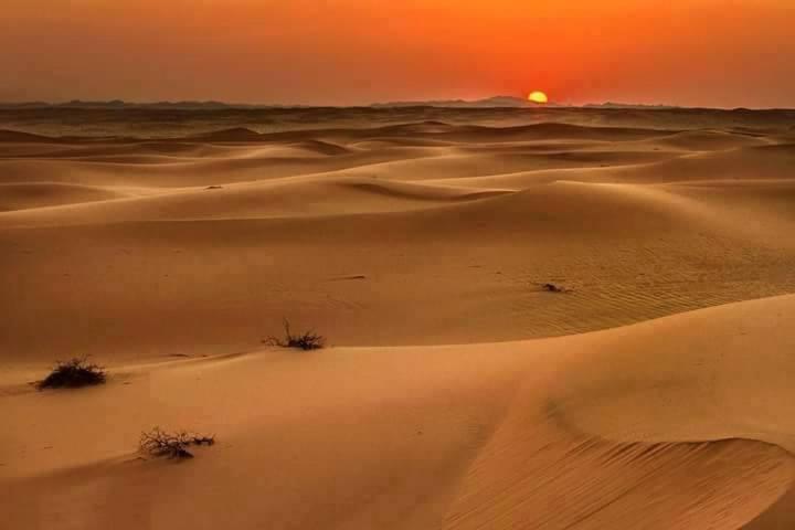Camp Sahara Holidays M'Hamid El Ghizlane Exterior foto