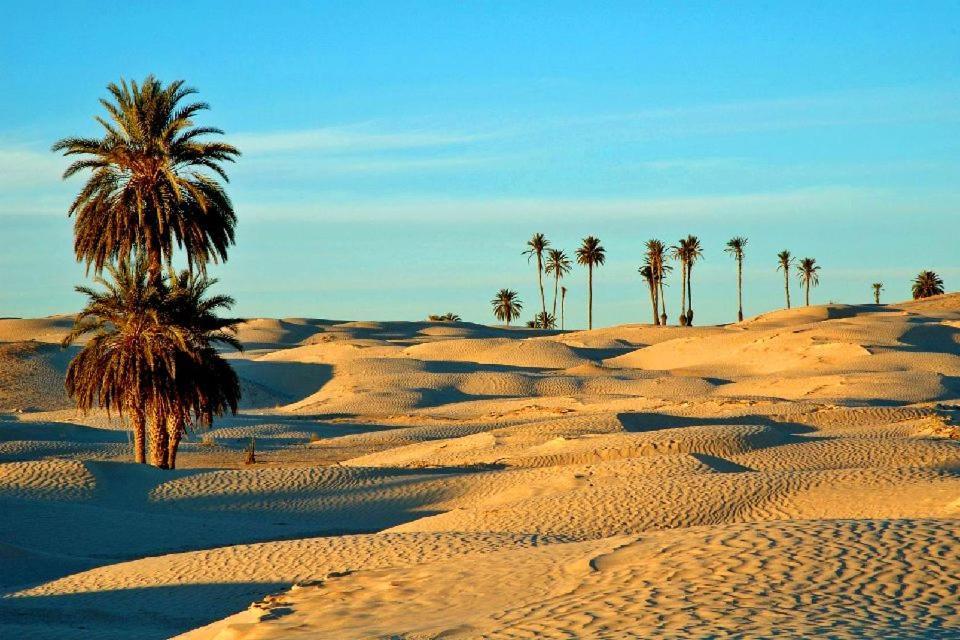 Camp Sahara Holidays M'Hamid El Ghizlane Exterior foto