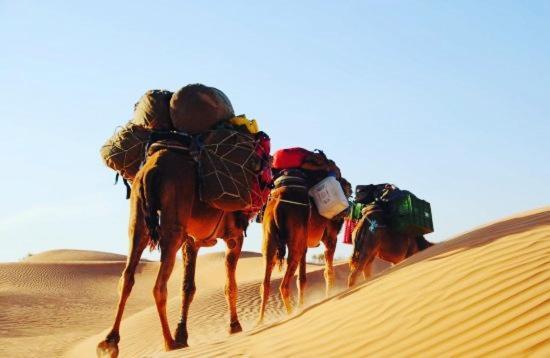 Camp Sahara Holidays M'Hamid El Ghizlane Exterior foto