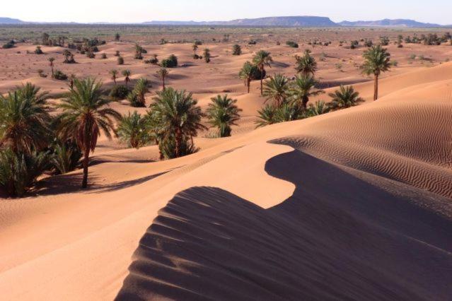 Camp Sahara Holidays M'Hamid El Ghizlane Exterior foto