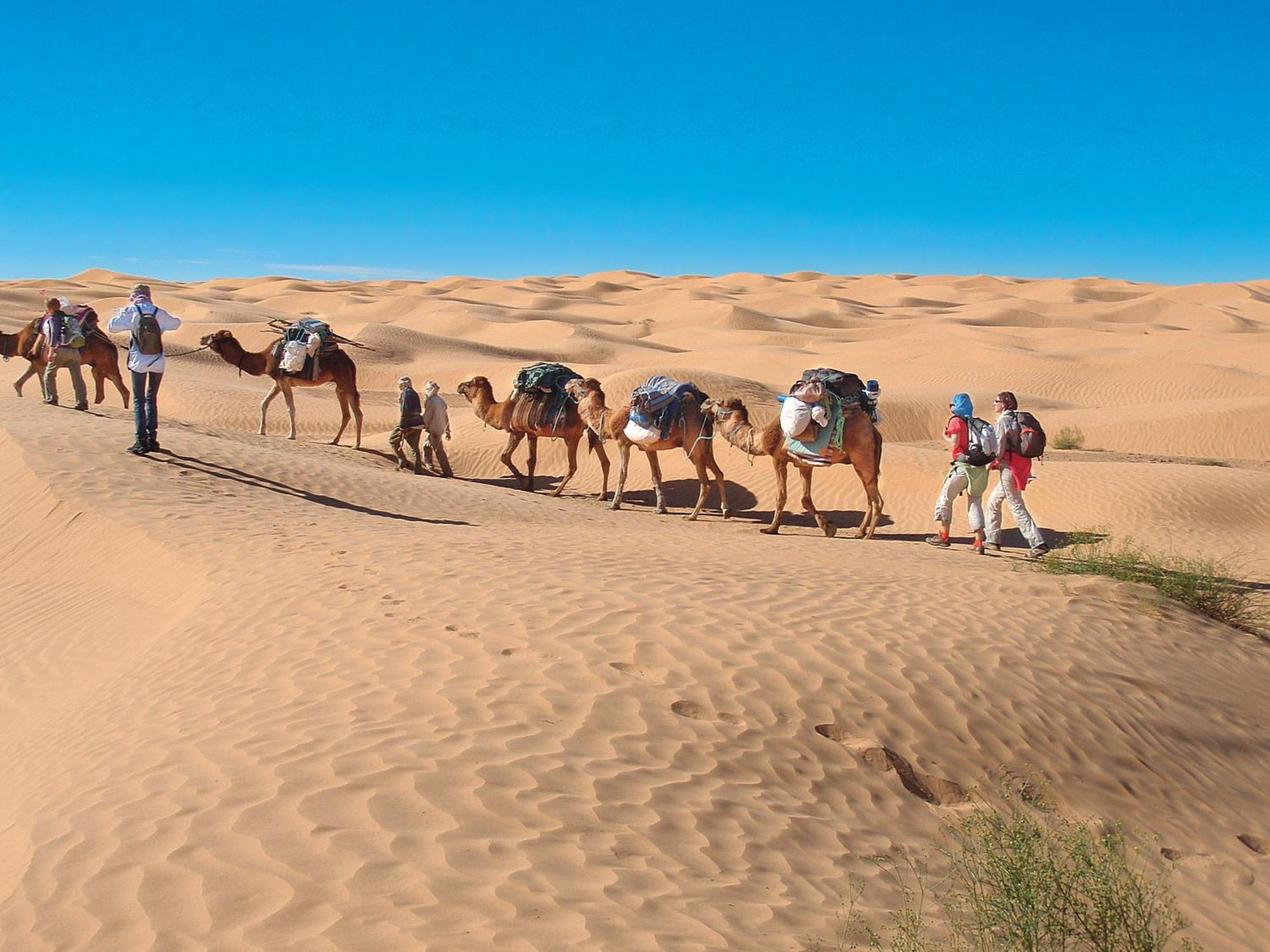 Camp Sahara Holidays M'Hamid El Ghizlane Exterior foto