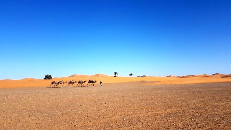 Camp Sahara Holidays M'Hamid El Ghizlane Exterior foto