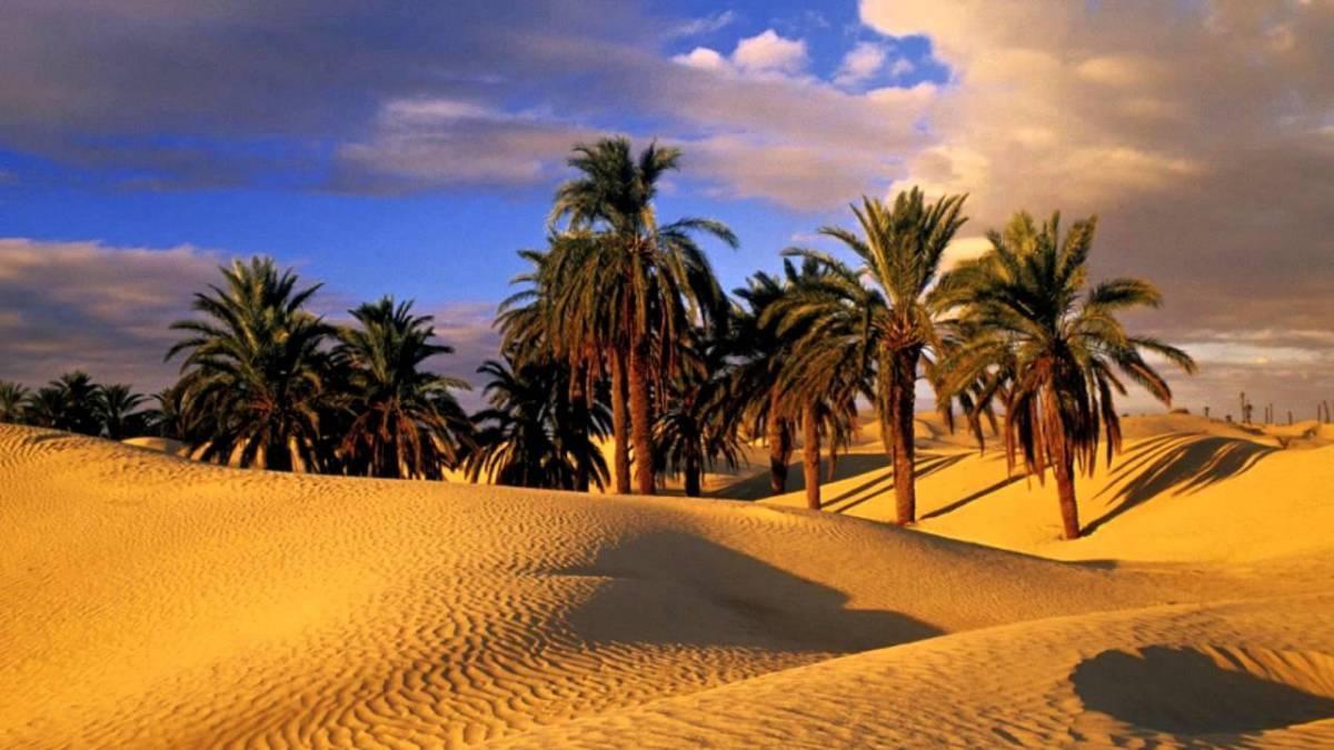 Camp Sahara Holidays M'Hamid El Ghizlane Exterior foto