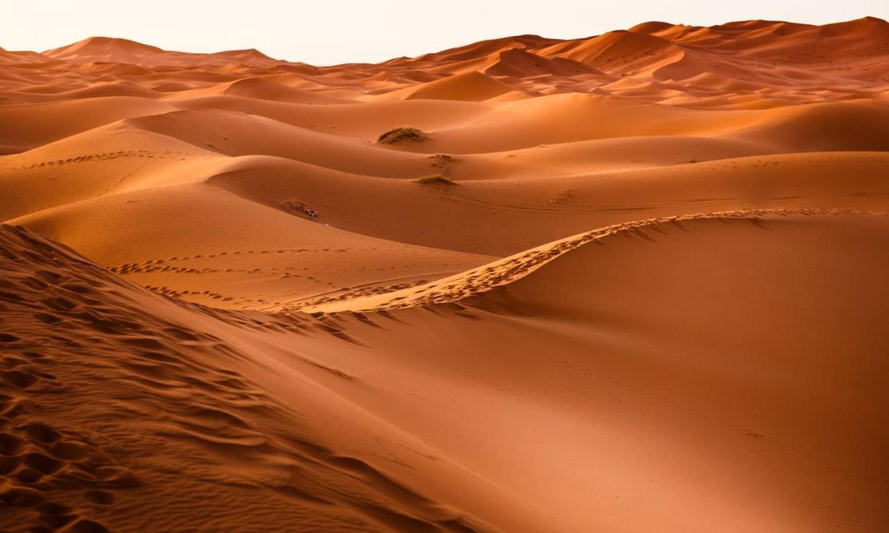 Camp Sahara Holidays M'Hamid El Ghizlane Exterior foto