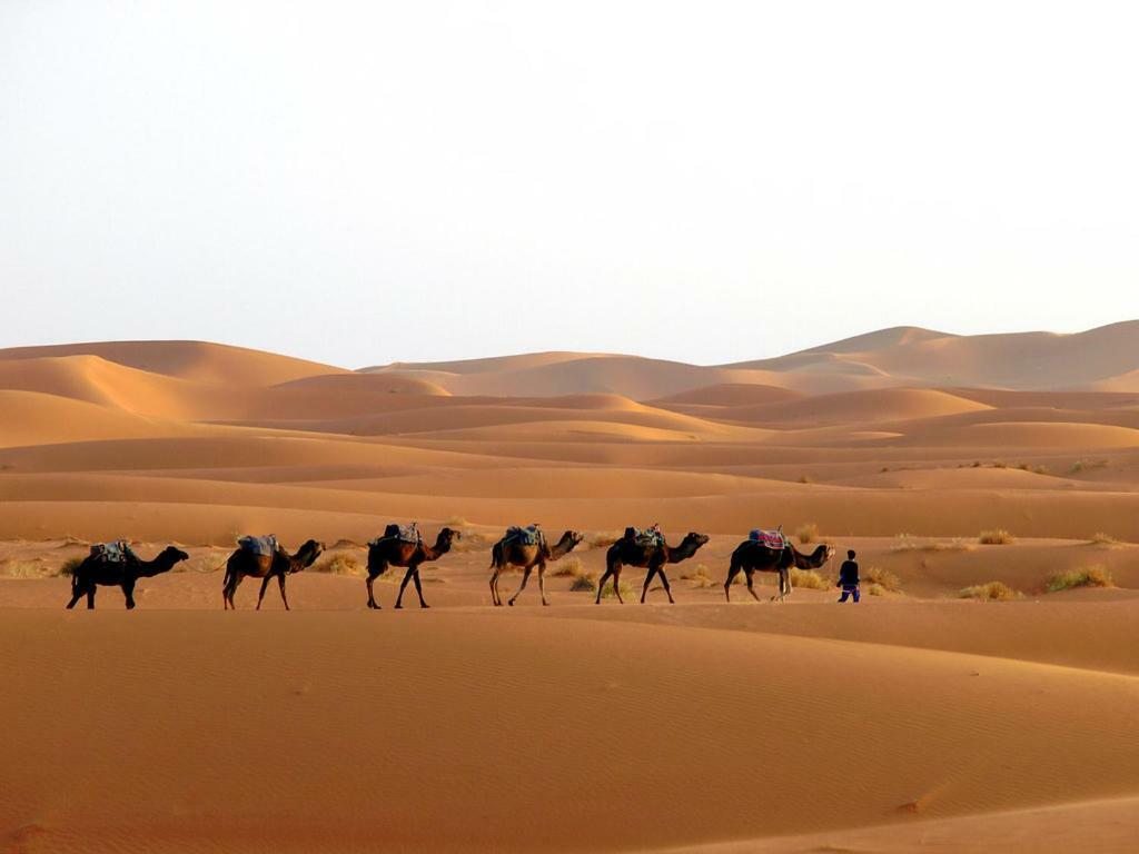 Camp Sahara Holidays M'Hamid El Ghizlane Exterior foto