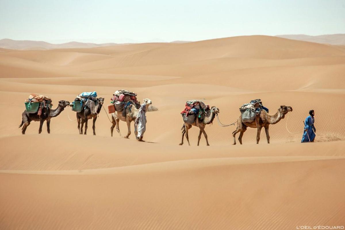 Camp Sahara Holidays M'Hamid El Ghizlane Exterior foto